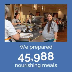 2025 impact graphics - meals